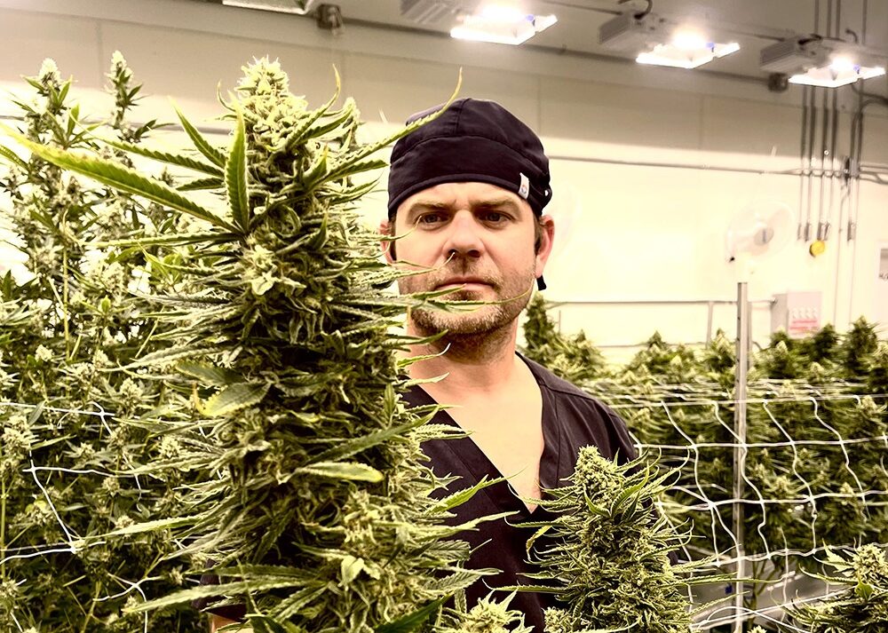 Power of Plants graphic featuring cannabis leaves and vibrant design.